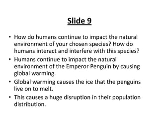 Slide 9
• How do humans continue to impact the natural 
  environment of your chosen species? How do 
  humans interact and interfere with this species?
• Humans continue to impact the natural 
  environment of the Emperor Penguin by causing 
  global warming. 
• Global warming causes the ice that the penguins 
  live on to melt.
• This causes a huge disruption in their population 
  distribution.
 