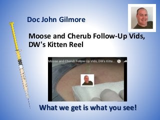 Moose and Cherub Follow-Up Vids,
DW's Kitten Reel
What we get is what you see!
Doc John Gilmore
 