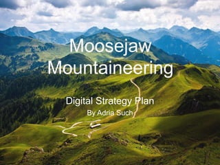 Moosejaw
Mountaineering
  Digital Strategy Plan
       By Adria Such
 