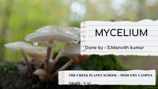 THE CREEK PLANET SCHOOL - MERCURY CAMPUS
GRADE - X A3
MYCELIUM
Done by - S.Manvith kumar
 