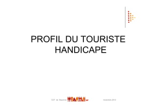 PROFIL DU TOURISTE
    HANDICAPE




   CDT de Bayonne   novembre 2012
 