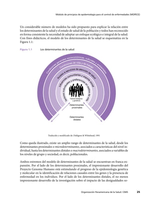 Módulo de principios de epidemiología para el control de enfermedades (MOPECE)
Organización Panamericana de la Salud / OMS 25
Un considerable número de modelos ha sido propuesto para explicar la relación entre
los determinantes de la salud y el estado de salud de la población y todos han reconocido
en forma consistente la necesidad de adoptar un enfoque ecológico e integral de la salud.
Con fines didácticos, el modelo de los determinantes de la salud se esquematiza en la
Figura 1.1:
Figura 1.1	 Los determinantes de la salud
Condic
iones generales socioconómicas, culturales y am
bi
entales
Condiciones de vida y de trabajo
Ac
ceso a servicios de atención de sa
lud
Influenc
ias comunitarias y soport
e
social
factoresindividua
les y preferencias
enestilosdevida
Fatores biológicos
y genéticos
Determinantes
proximales
Determinantes
distales
Traducido y modificado de: Dahlgren & Whitehead, 1991
Como queda ilustrado, existe un amplio rango de determinantes de la salud, desde los
determinantes proximales o microdeterminantes, asociados a características del nivel in-
dividual, hasta los determinantes distales o macrodeterminantes, asociados a variables de
los niveles de grupo y sociedad, es decir, poblacionales.
Ambos extremos del modelo de determinantes de la salud se encuentran en franca ex-
pansión. Por el lado de los determinantes proximales, el impresionante desarrollo del
Proyecto Genoma Humano está estimulando el progreso de la epidemiología genética
y molecular en la identificación de relaciones causales entre los genes y la presencia de
enfermedad en los individuos. Por el lado de los determinantes distales, el no menos
impresionante desarrollo de la investigación sobre el impacto de las desigualdades so-
 