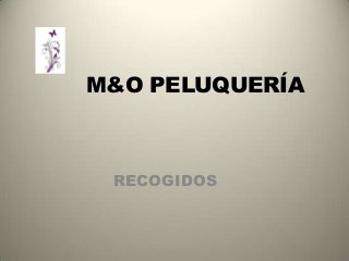 M&O PELUQUERÍA



 RECOGIDOS
 