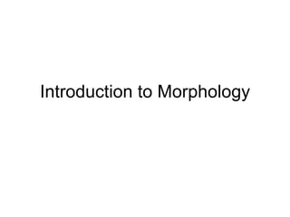 Introduction to Morphology 