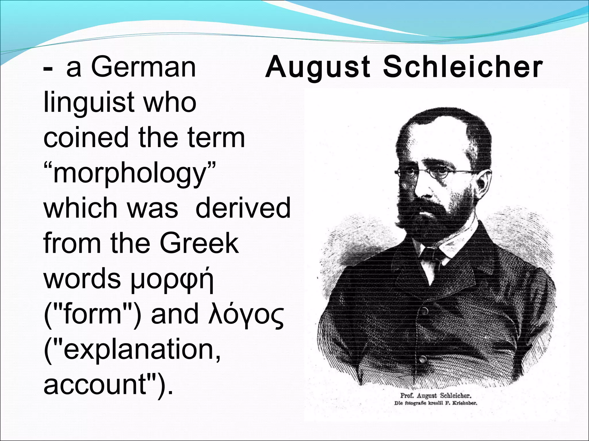 - a German
linguist who
coined the term
“morphology”
which was derived
from the Greek
words μορφή
("form") and λόγος
("explanation,
account").
August Schleicher
 