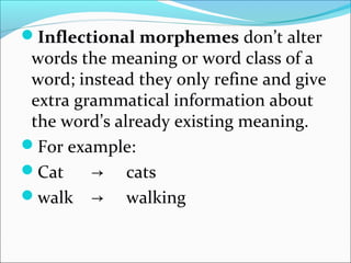 In English: Inflectional
morphemes are all suffixes (by
chance, since in other languages
this is not true).
There are on...