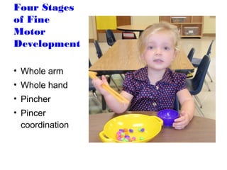 Four Stages
of Fine
Motor
Development

• Whole arm
• Whole hand
• Pincher
• Pincer
  coordination
 