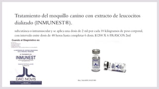 Tratamiento del moquillo canino con extracto de leucocitos
dializado (INMUNEST®).
subcutánea o intramuscular y se aplica una dosis de 2 ml por cada 10 kilogramos de peso corporal,
con intervalo entre dosis de 48 horas hasta completar 6 dosis.$1200 X 6 FRASCOS 2ml
 