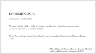 EPIDEMIOLOGÍA
Se encuentra a nivel mundial.
Afecta en todas las edades y todas las razas de perros,los mas vulnerables son cachorros no
vacunados entre las 6 y 12 semanas de edad
Afecta:Zorros,Dingo,Coyote,Lobo,Chacal,Huron,Comadreja,Tejon,Nutrias,Mapache,Panda,
Coati.
Manual Clinico de Pequeñas Especies, Brichard /Sherding
volumen I Enfermedades infecciosas MC 1994
 
