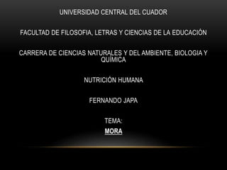 UNIVERSIDAD CENTRAL DEL CUADOR
FACULTAD DE FILOSOFIA, LETRAS Y CIENCIAS DE LA EDUCACIÓN
CARRERA DE CIENCIAS NATURALES Y DEL AMBIENTE, BIOLOGIA Y
QUÍMICA
NUTRICIÓN HUMANA
FERNANDO JAPA
TEMA:
MORA
 