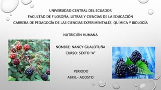 UNIVERSIDAD CENTRAL DEL ECUADOR
FACULTAD DE FILOSOFÍA, LETRAS Y CIENCIAS DE LA EDUCACIÓN
CARRERA DE PEDAGOGÍA DE LAS CIENCIAS EXPERIMENTALES, QUÍMICA Y BIOLOGÍA
NUTRICIÓN HUMANA
NOMBRE: NANCY GUALOTUÑA
CURSO: SEXTO “A”
PERIODO
ABRIL- AGOSTO
 
