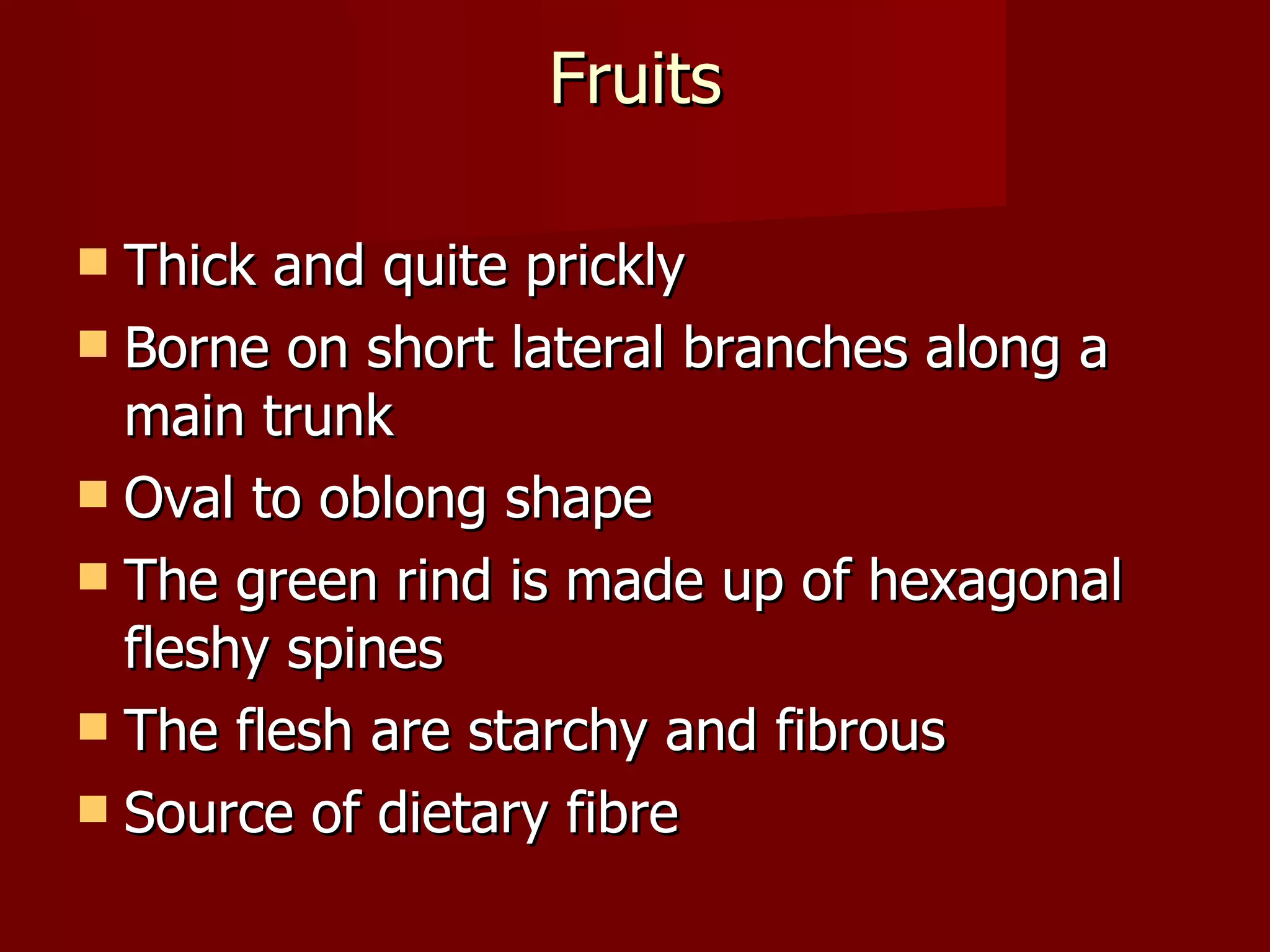 Fruits Thick and quite prickly Borne on short lateral branches along a main trunk  Oval to oblong shape  The green rind is made up of hexagonal fleshy spines The flesh are starchy and fibrous Source of dietary fibre 