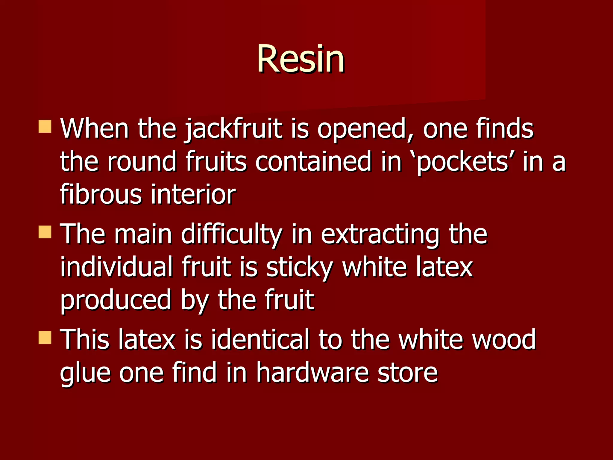 Resin  When the jackfruit is opened, one finds the round fruits contained in ‘pockets’ in a fibrous interior The main difficulty in extracting the individual fruit is sticky white latex produced by the fruit This latex is identical to the white wood glue one find in hardware store 