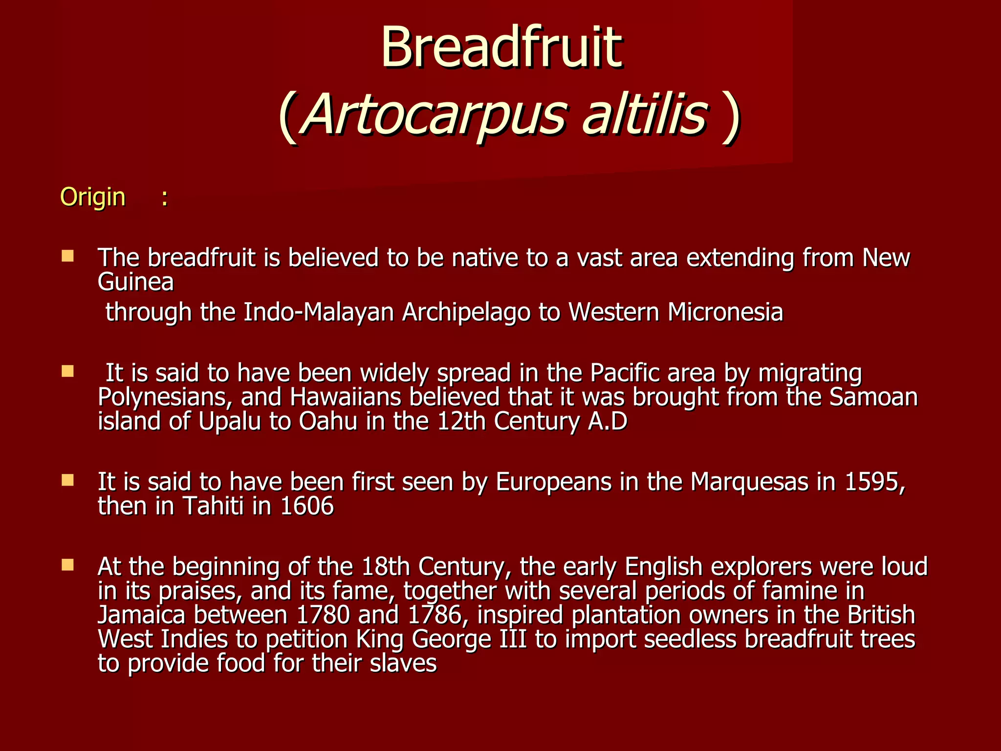 Breadfruit  ( Artocarpus   altilis  ) Origin : The breadfruit is believed to be native to a vast area extending from New Guinea   through the Indo-Malayan Archipelago to Western Micronesia It is said to have been widely spread in the Pacific area by migrating Polynesians, and Hawaiians believed that it was brought from the Samoan island of Upalu to Oahu in the 12th Century A.D It is said to have been first seen by Europeans in the Marquesas in 1595, then in Tahiti in 1606 At the beginning of the 18th Century, the early English explorers were loud in its praises, and its fame, together with several periods of famine in Jamaica between 1780 and 1786, inspired plantation owners in the British West Indies to petition King George III to import seedless breadfruit trees to provide food for their slaves 