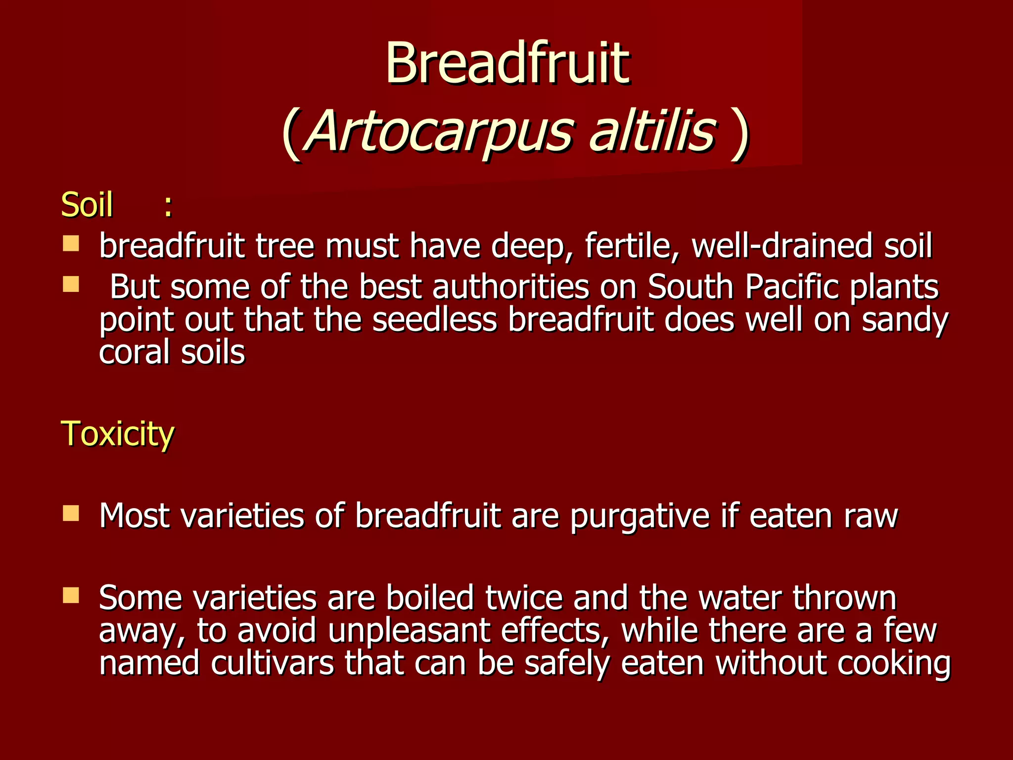 Breadfruit  ( Artocarpus   altilis  ) Soil : breadfruit tree must have deep, fertile, well-drained soil But some of the best authorities on South Pacific plants point out that the seedless breadfruit does well on sandy coral soils Toxicity Most varieties of breadfruit are purgative if eaten raw Some varieties are boiled twice and the water thrown away, to avoid unpleasant effects, while there are a few named cultivars that can be safely eaten without cooking 