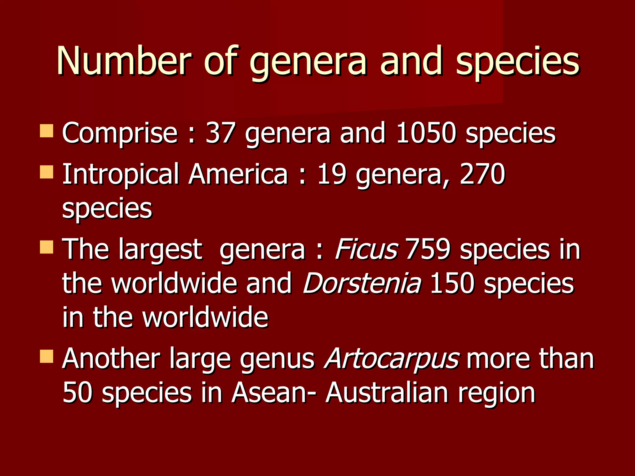 Number of genera and species Comprise : 37 genera and 1050 species Intropical America : 19 genera, 270 species The largest  genera :  Ficus  759 species in the worldwide and  Dorstenia  150 species in the worldwide Another large genus  Artocarpus  more than 50 species in Asean- Australian region  