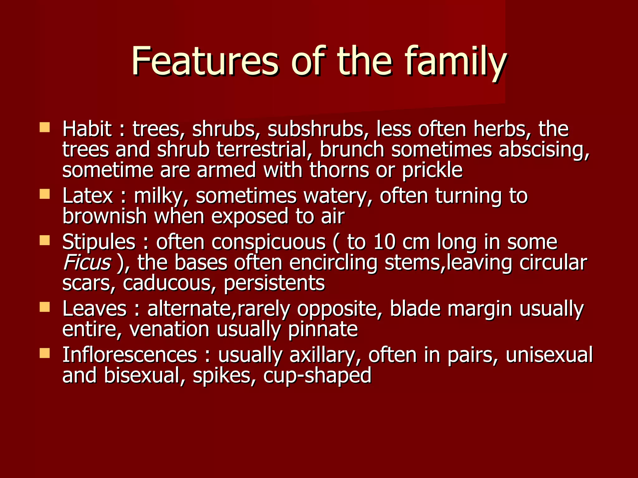 Features of the family Habit : trees, shrubs, subshrubs, less often herbs, the trees and shrub terrestrial, brunch sometimes abscising, sometime are armed with thorns or prickle Latex : milky, sometimes watery, often turning to brownish when exposed to air Stipules : often conspicuous ( to 10 cm long in some  Ficus  ), the bases often encircling stems,leaving circular scars, caducous, persistents Leaves : alternate,rarely opposite, blade margin usually entire, venation usually pinnate Inflorescences : usually axillary, often in pairs, unisexual and bisexual, spikes, cup-shaped 