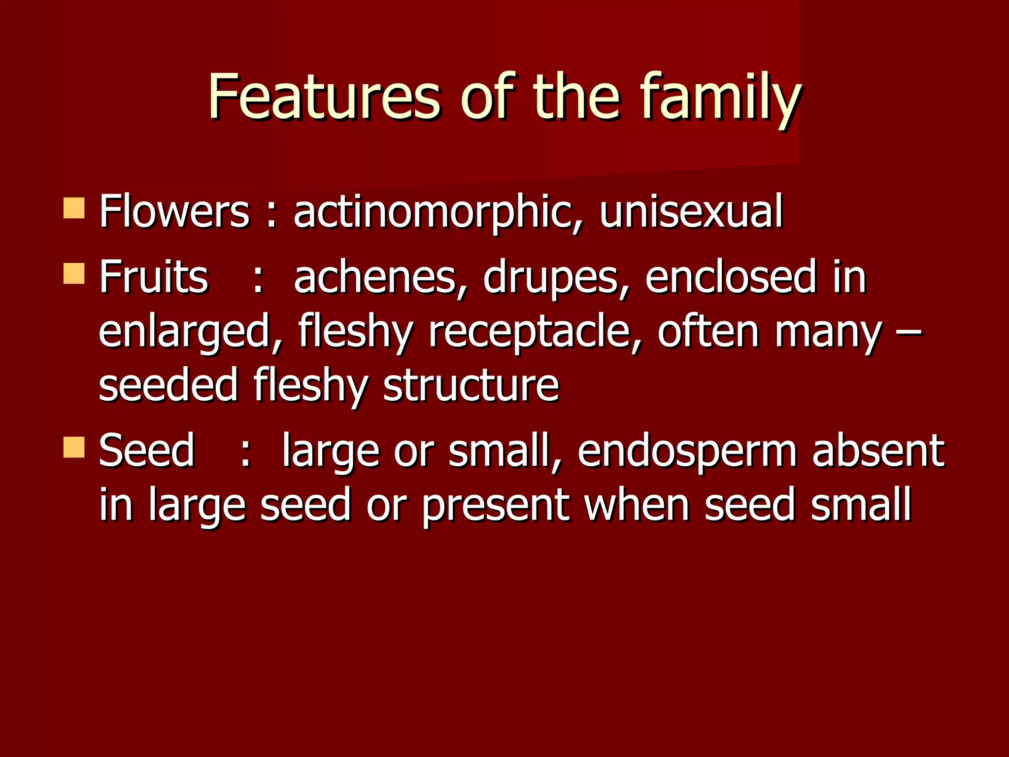Features of the family Flowers : actinomorphic, unisexual Fruits  :  achenes, drupes, enclosed in enlarged, fleshy receptacle, often many – seeded fleshy structure Seed  :  large or small, endosperm absent in large seed or present when seed small 