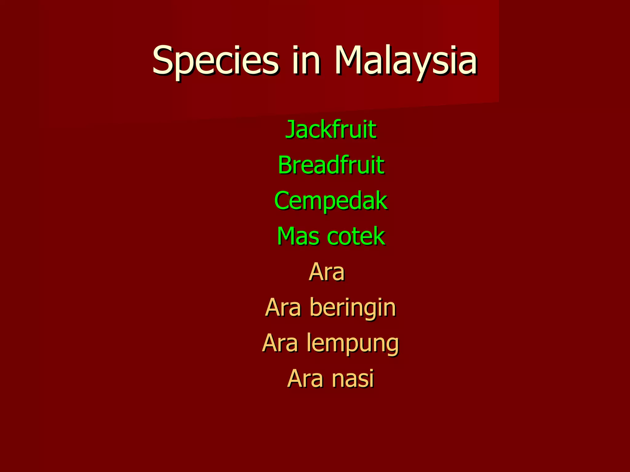 Species in Malaysia Jackfruit Breadfruit Cempedak Mas cotek Ara  Ara beringin Ara lempung Ara nasi 