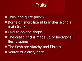 Fruits Thick and quite prickly Borne on short lateral branches along a main trunk  Oval to oblong shape  The green rind is made up of hexagonal fleshy spines The flesh are starchy and fibrous Source of dietary fibre 