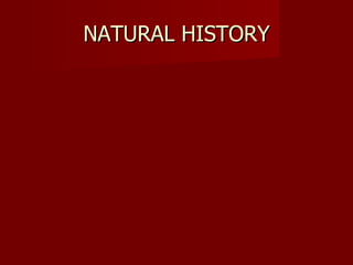 NATURAL HISTORY 