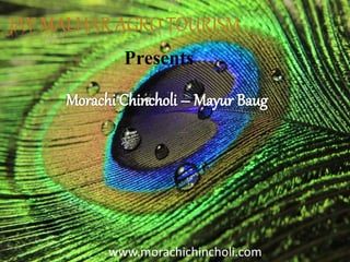 JAY MALHAR AGRO TOURISM
Presents
www.morachichincholi.com
 