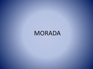 MORADA
 