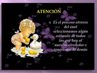 REFLEXIONE CUANDO ESTUDIE