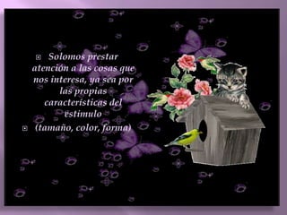 responda preguntas sobre lo preparadoTIEMPO DETERMINADO PARA TERMINAR LOS TRABAJOS