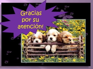 dificultad de la asignaturaFACTORES QUE DISMINUYEN LA CONCENTRACIÓNTENSIÓNControl neuromuscular