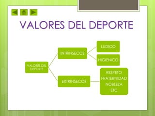 VALORES DEL DEPORTE
VALORES DEL
DEPORTE
INTRINSECOS
LUDICO
HIGIENICO
EXTRINSECOS
RESPETO
FRATERNIDAD
NOBLEZA
ETC
 