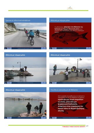 ΓΥΜΝΑΣΙΟ-ΛΥΚΕΙΟ ΣΧΟΛΗΣ ΜΩΡΑΪΤΗ 17 
 