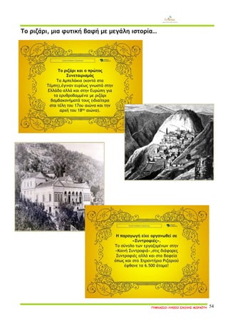 ΓΥΜΝΑΣΙΟ-ΛΥΚΕΙΟ ΣΧΟΛΗΣ ΜΩΡΑΪΤΗ 54 
Το ριζάρι, μια φυτική βαφή με μεγάλη ιστορία… 
 