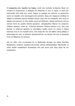 36
Ο ανεμόμυλος στην παραλία της Χώρας, κοντά στην εκκλησία Αγ.Μαρίνας έδωσε την
ευκαιρία να αναγνωστούν οι διαφορές στη βλάστηση σε αυτό το σημείο το οποίο έχει
αποτυπωθεί πολύ καλά στην ταινία. Σήμερα τα χωράφια που φαίνεται να οργώνονταν
εκείνη την περίοδο, είναι κατειλημμένα από κατοικίες. Όμως έχει παραμείνει ελεύθερο τα
έδαφος σε απόσταση αρκετών δεκάδων μέτρων γύρω από τον ανεμόμυλο. Στην ταινία το
έδαφος αυτό φαίνεται να είναι σχεδόν γυμνό από βλάστηση. Σήμερα καλύπτεται από μια
σχετικά πυκνή και μεγάλη ποικιλία φρυγάνων, σκληρόφυλλων θάμνων και γεώφυτων
(Thymus capitatus, Cistus sp., Cichorium spinosum, Pistacia lentiscus κ.ά.). Πώς είναι
δυνατόν τα ανθεκτικά φρύγανα να απουσιάζουν σχεδόν εκείνη την εποχή; Η πιθανή
απάντηση είναι ότι την περίοδο εκείνη, όταν ακόμη δεν είχε καν φθάσει (όπως μάθαμε) ο
ηλεκτρισμός στο νησί, τα φρύγανα χρησιμοποιούνταν ως καύσιμη ύλη (για το μαγείρεμα
ή/και την θέρμανση των σπιτιών).
Από την άλλη, είναι εντυπωσιακό ότι το βραδυαυξές δεντράκι του είδους Άρκευθος
Μακρόκαρπη Juniperus oxycedrus–macrocarpa (αλλιώς Θαλασσόκεδρο) εξακολουθεί να
στέκει σχεδόν απαράλλακτο περισσότερο από μισό αιώνα μετά (λίγα μέτρα ΝΔ του
ανεμόμυλου).
 