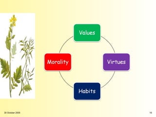 30 October 2005   16
 