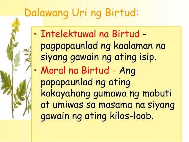 Ano Ang Ibig Sabihin Ng Moral Na Kilos