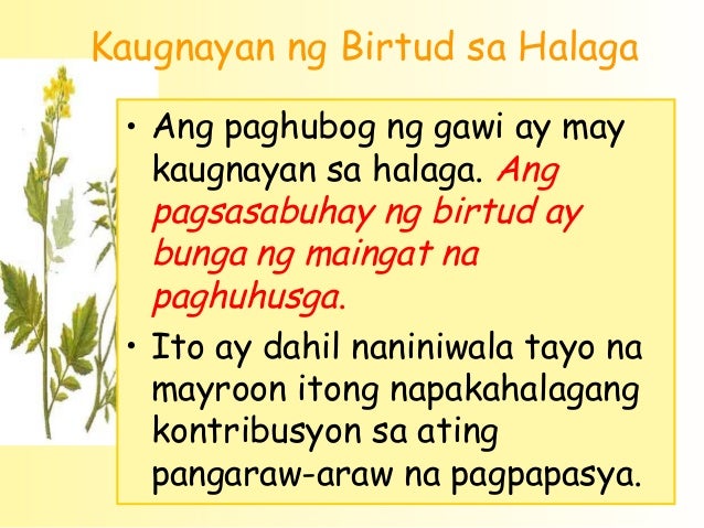 Paano Nagkakaugnay Ang Pagpapahalaga At Birtud Moral