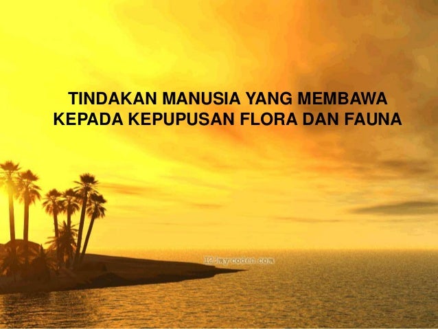 Flora dan Fauna