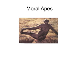 Moral Apes 