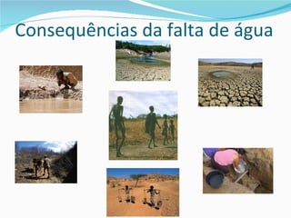 Consequências da falta de água
 