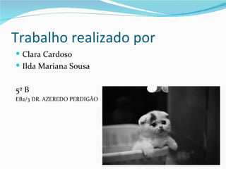 Trabalho realizado por
 Clara Cardoso
 Ilda Mariana Sousa


5º B
EB2/3 DR. AZEREDO PERDIGÃO
 