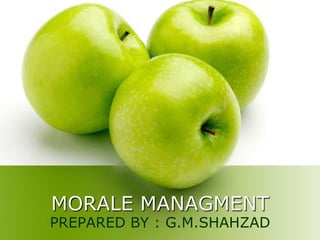 MORALE MANAGMENT PREPARED BY : G.M.SHAHZAD 