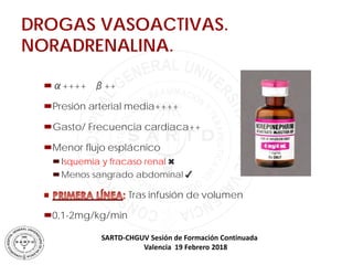 SARTD-CHGUV Sesión de Formación Continuada
Valencia 19 Febrero 2018
DROGAS VASOACTIVAS.
NORADRENALINA.

α++++ β++

Pre...