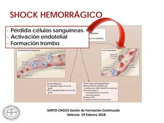 SARTD-CHGUV Sesión de Formación Continuada
Valencia 19 Febrero 2018
SHOCK HEMORRÁGICO
- Pérdida células sanguíneas.
- Acti...