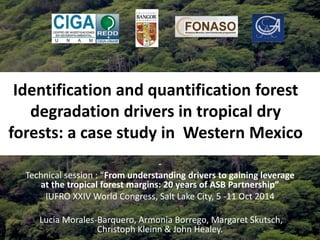 Identification and quantification forest 
degradation drivers in tropical dry 
forests: a case study in Western Mexico 
- 
Technical session : “From understanding drivers to gaining leverage 
at the tropical forest margins: 20 years of ASB Partnership” 
IUFRO XXIV World Congress, Salt Lake City, 5 -11 Oct 2014 
Lucia Morales-Barquero, Armonia Borrego, Margaret Skutsch, 
Christoph Kleinn & John Healey. 
 