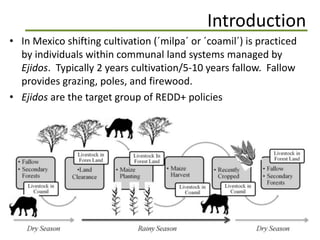 Identification and quantification forest degradation drivers in tropical dry forests: a case study in  Western Mexico
