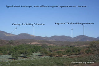 Identification and quantification forest degradation drivers in tropical dry forests: a case study in  Western Mexico