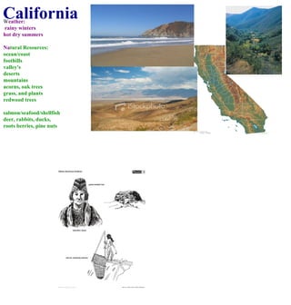 California W eather: rainy winters hot dry summers Na tural Resources: ocean/coast foothills valley's deserts mountains acorns, oak trees grass, and plants redwood trees salmon/seafood/shellfish deer, rabbits, ducks,  roots berries, pine nuts  