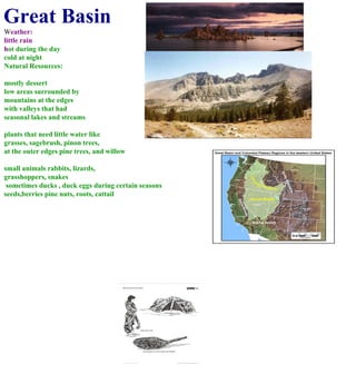 Great Basin W eather: little rain h ot during the day  cold at night Natural Resources: mostly dessert low areas surrounded by  mountains at the edges with valleys that had  seasonal lakes and streams plants that need little water like grasses, sagebrush, pinon trees,  at the outer edges pine trees, and willow small animals rabbits, lizards,  grasshoppers, snakes sometimes ducks , duck eggs during certain seasons  seeds,berries pine nuts, roots, cattail 