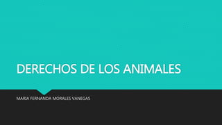DERECHOS DE LOS ANIMALES
MARIA FERNANDA MORALES VANEGAS
 